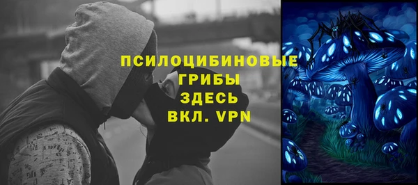 a pvp Медвежьегорск