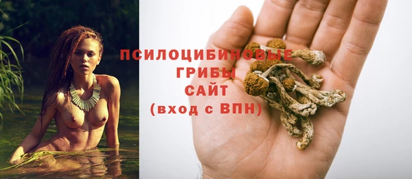 ALPHA PVP Медногорск