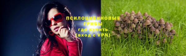 ALPHA PVP Медногорск