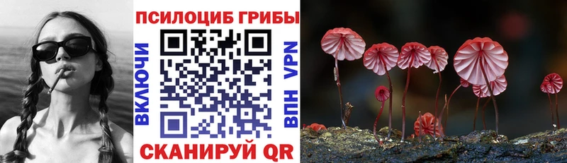 Галлюциногенные грибы Cubensis  где купить   Фокино 